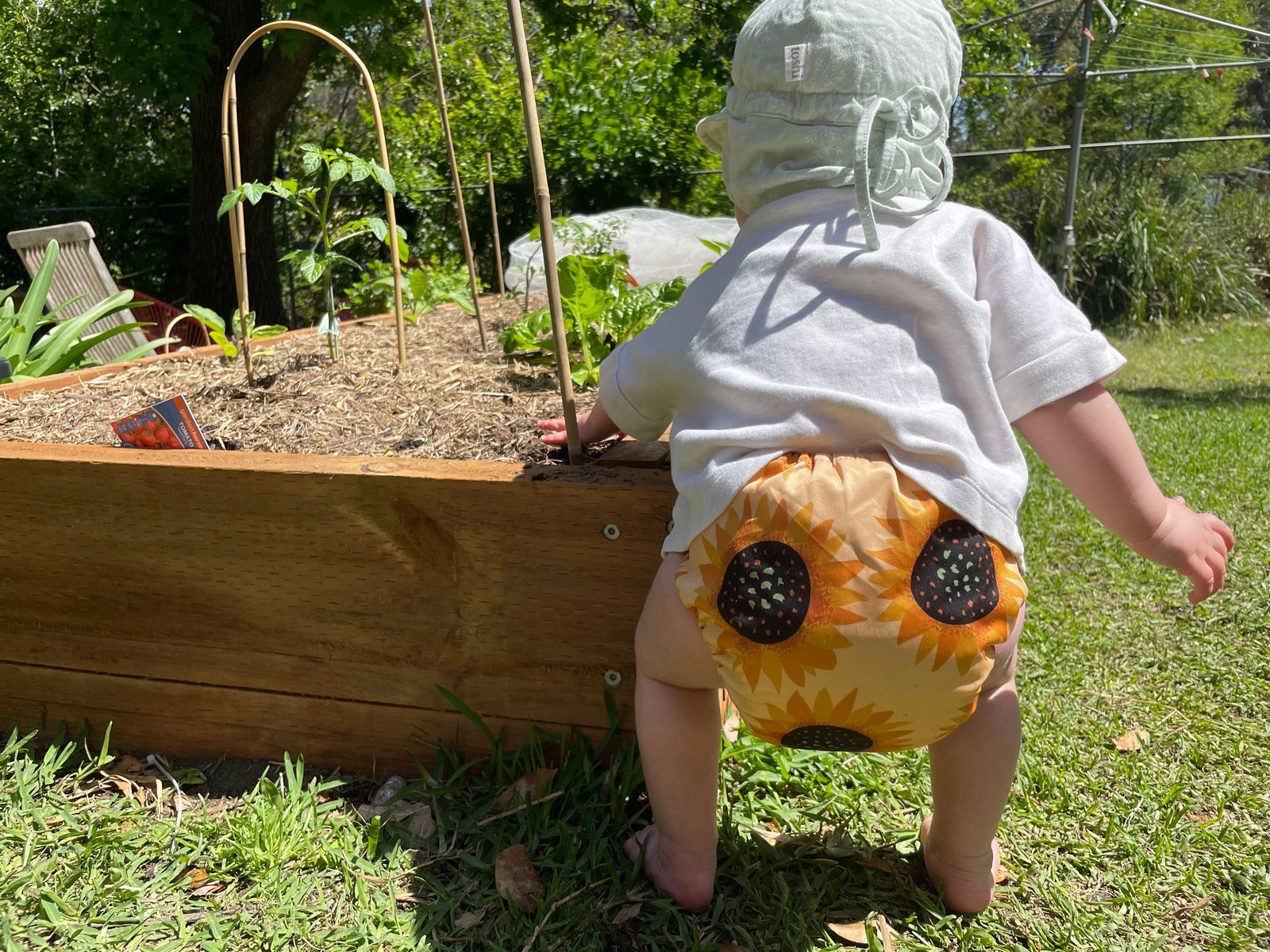 Why We Choose Sustainability: A Conversation About Making Better Choices